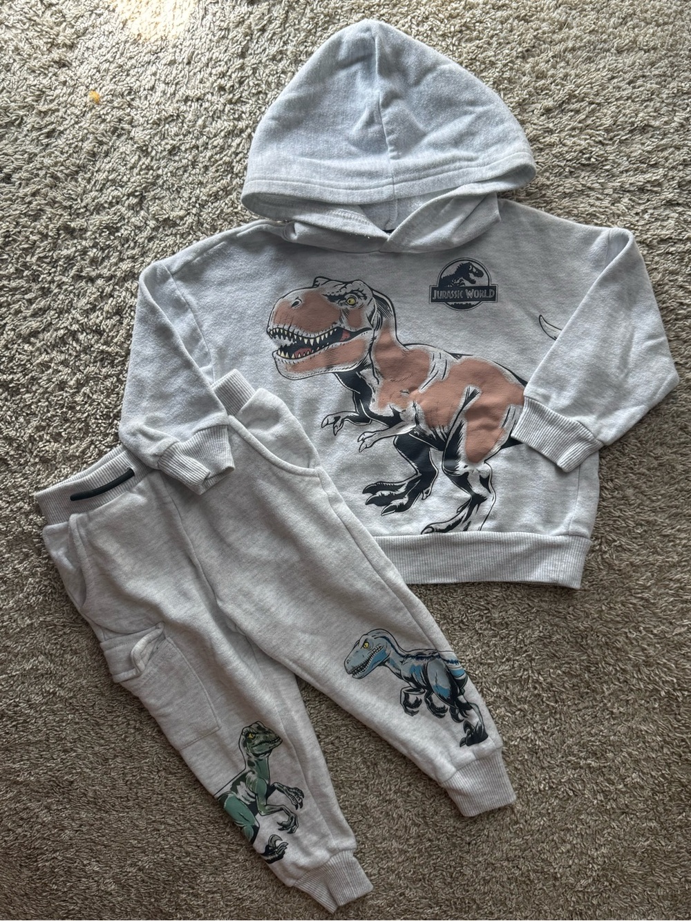 Jurassic World Toddler Hoodie & Jogger Set Size 2T Gray Dinosaur Sweat Set